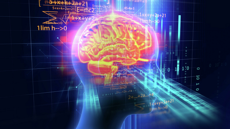Ученые подтвердили связь между уровнем интеллекта и активностью мозга