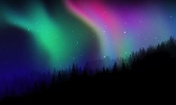 Обзор платформы Cc-aurora и её возможностей