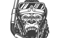 Gorilla Glass 6 характеристики и преимущества технологии