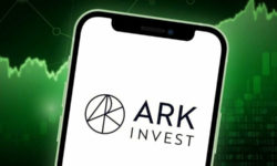 Компания Ark Invest Кэти Вуд купила акции Circle Internet Group и SpaceX