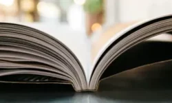 Оксфордский словарь назвал главное слово – 2024