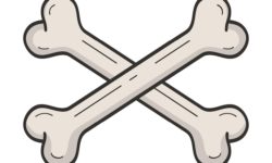 Wickedbone как идеальный игрушка для собак